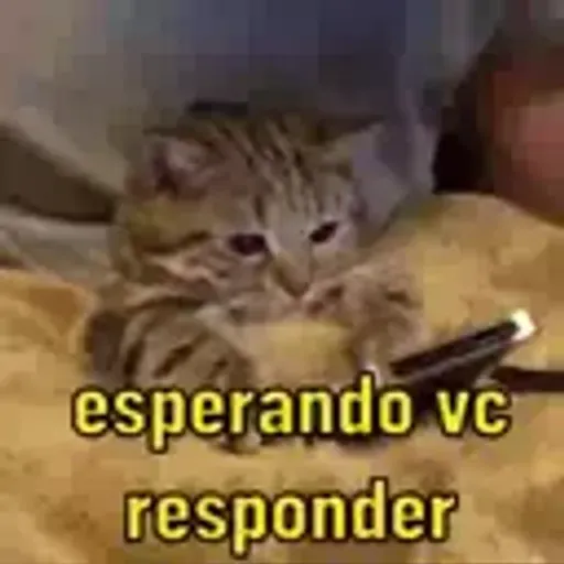 play_circle_outline Alguns memes