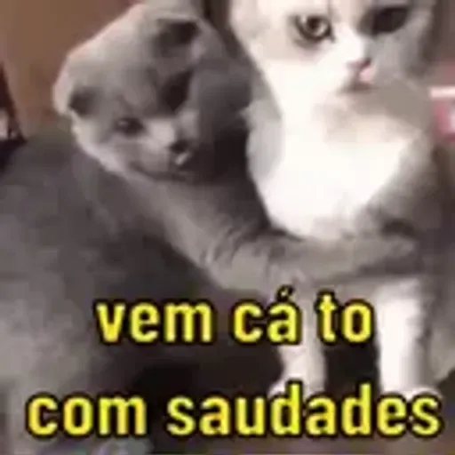 play_circle_outline Alguns memes