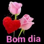 boa tarde 