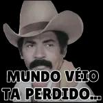  Tudo farinha
do
gostot stay
mesmo saco