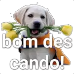Amem🙏