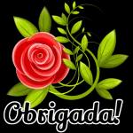 Obrigada