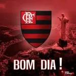 Flamengo Gol