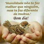 bom dia