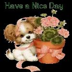 Have a Wonderful Day 🐻 🤎