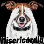 Amém meu amor