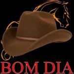 boa tarde 