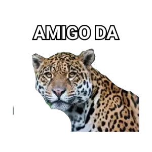 diBpAu