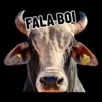 Boi🐮