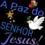 Boa
tarde
