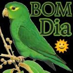 Bom Dia
