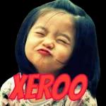 XEROO 