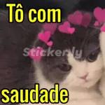 memes 