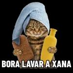  Continua
Tá no caminho
certo