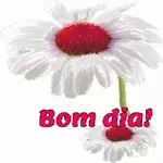 Bom dia