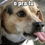 gay gay gay gay gay gay gay gay gay gay gay gay gay gay gay gay gay gay gay gay gay gay gay gay