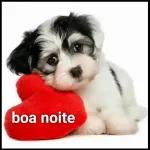 figurinhas boa noite