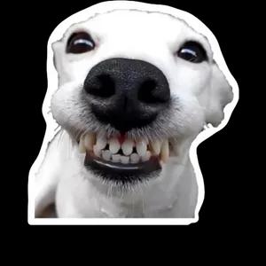 TÔ DE FOLGA  - getsticker.com