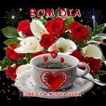 Bom dia