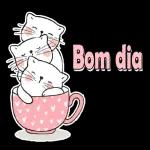  Bom dia