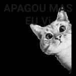 Minhas figurinhas