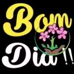 bom dia