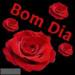  Boa Noite
Fica Com Deus!