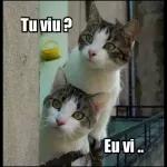 jkkkkoo