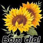  Vc roubou
meu coração