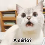 A sério?