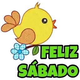 boa noite