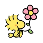 animado