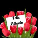feliz sábado 