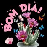 iop