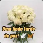  É cada uma que
aparece