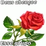 linda demais