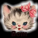  Boa noite