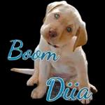 eu amo minha vida