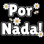  Por
Nada!
