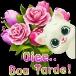  Boa noite