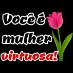 Você é mulher virtuosa! 