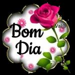 dia Bom você pra