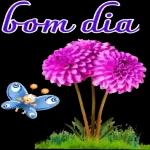 BD, BT e BN