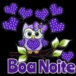 Boa Noite