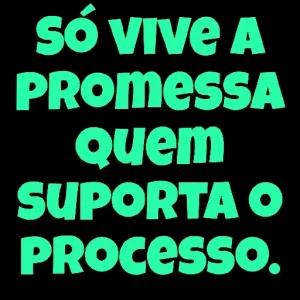 pUQ1pB