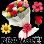  BOM
ge
Ska
DIA!