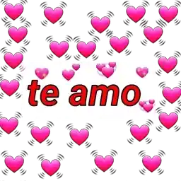 Boa tarde