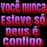 novo 2