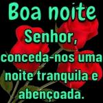  BOA
NOITE!