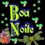  Boa
noite
fique
com
Deus
